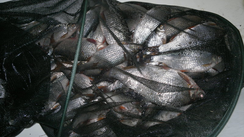 22042011485.jpg