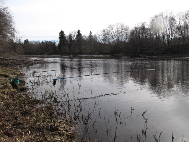 Picture 063.jpg