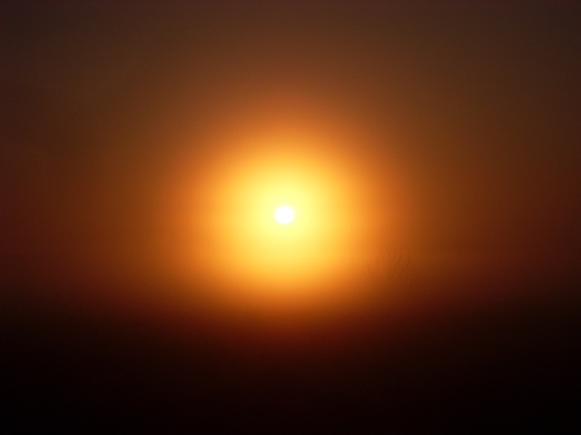 SL383042.JPG