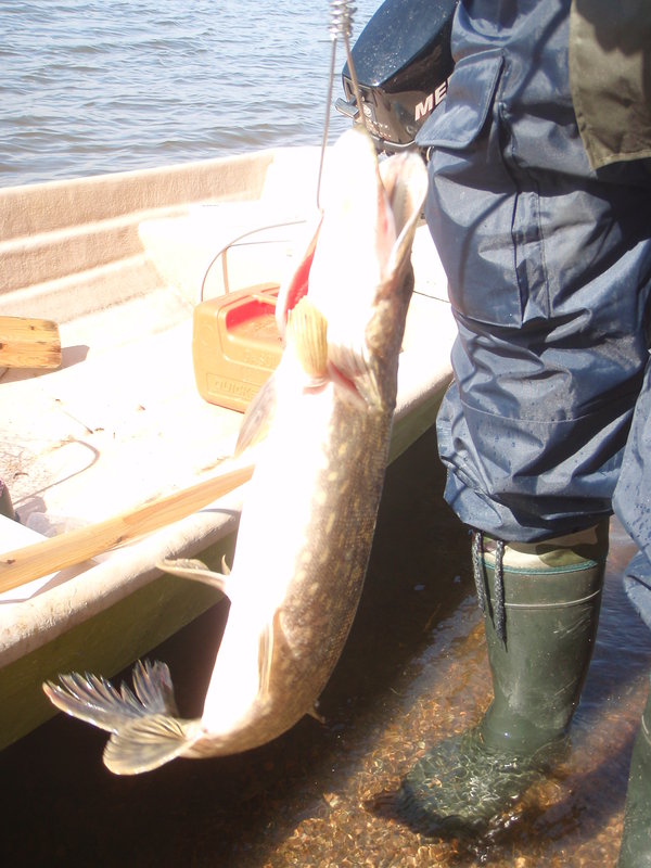 Финка 02-06. 05.2011 159.jpg