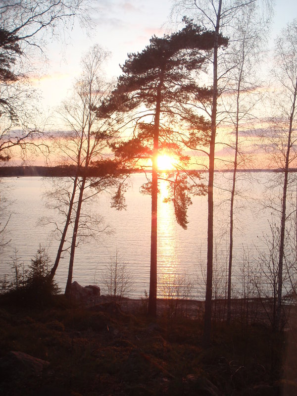 Финка 02-06. 05.2011 166.jpg