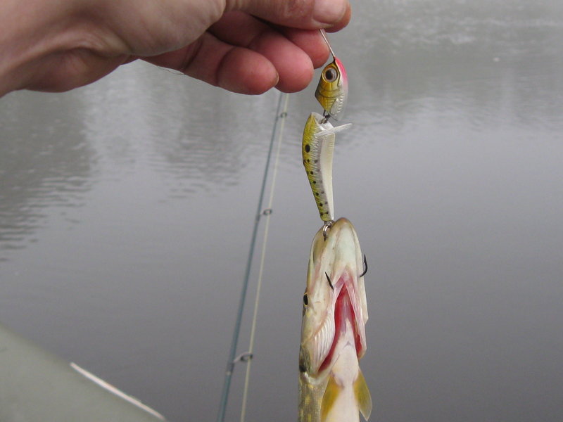 Тори 2011 064.jpg
