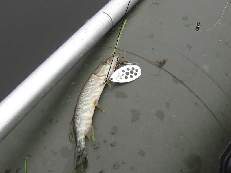 Тори 2011 068.jpg
