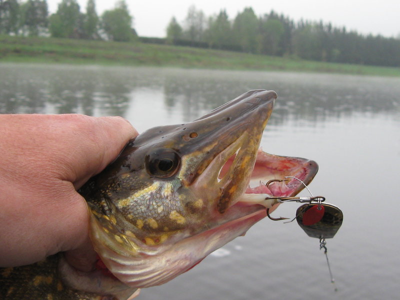 Тори 2011 067.jpg