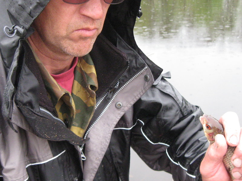 Тори 2011 043.jpg