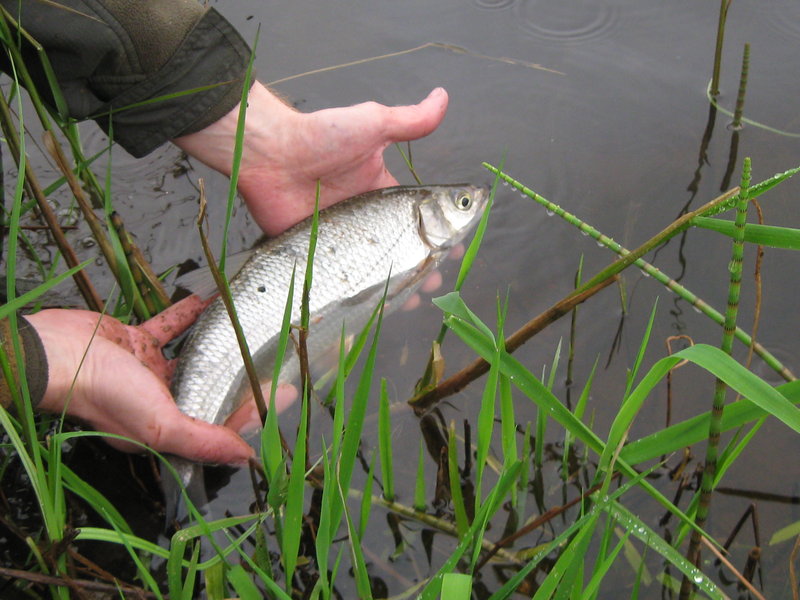 Тори 2011 051.jpg