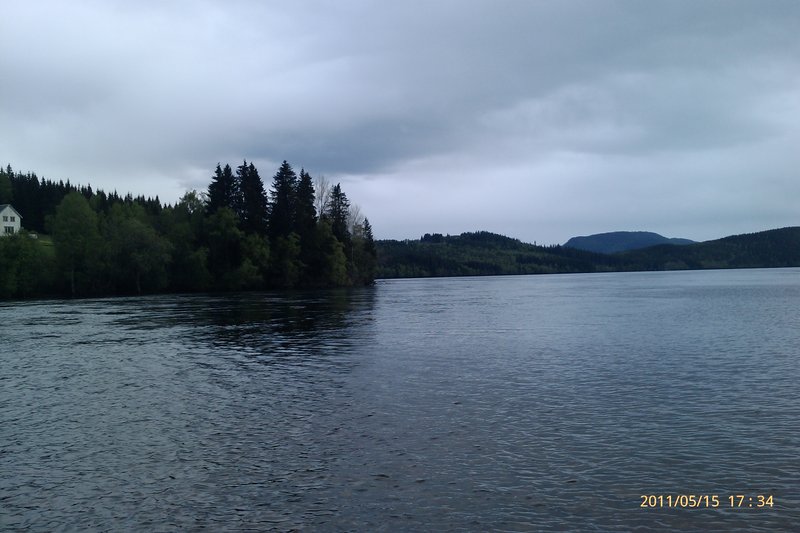 IMAG0496.jpg