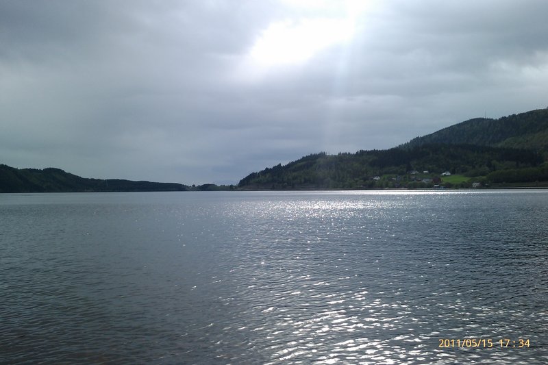 IMAG0497.jpg