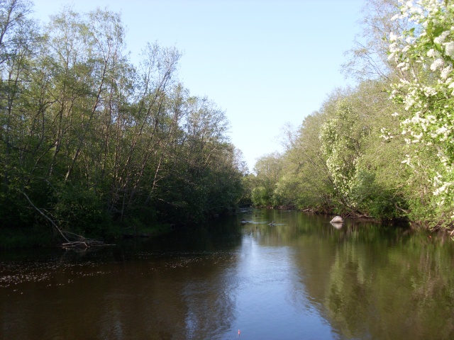 SL383068.JPG