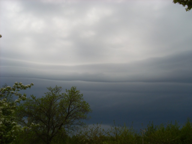 SL383086.JPG
