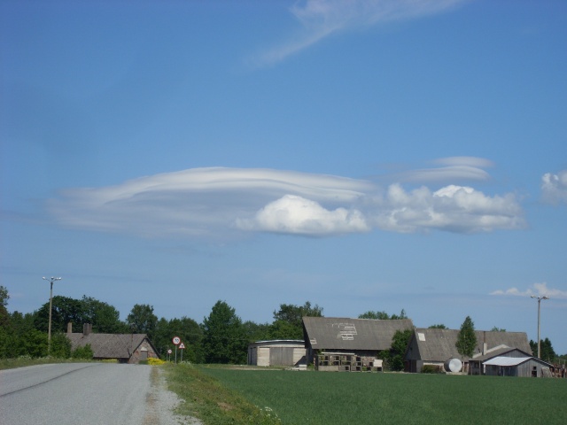 SL383116.JPG