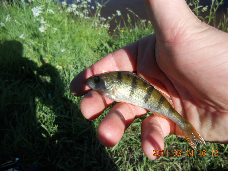 DSCN2324.JPG