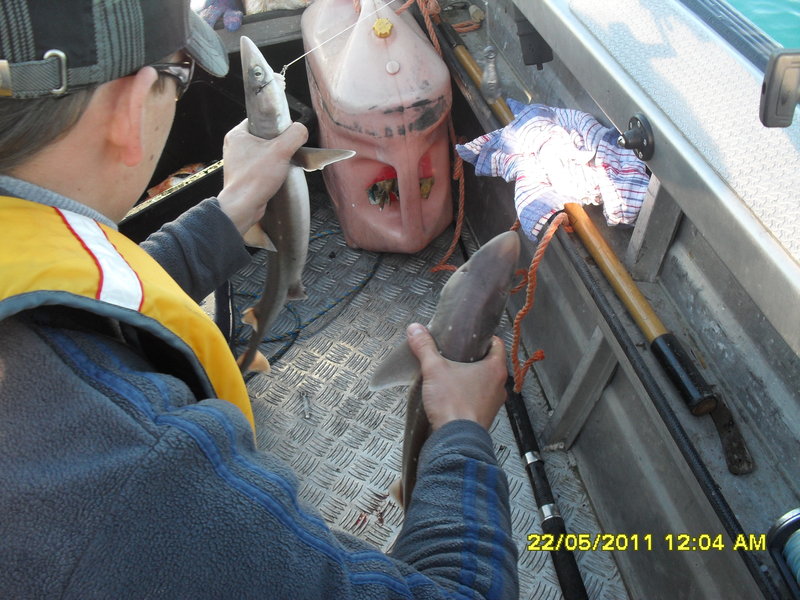 SDC10433.JPG
