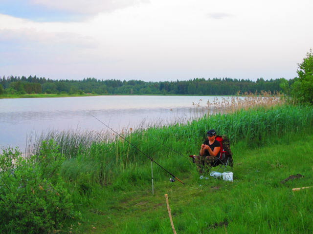 Picture 011.jpg