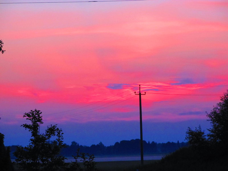 Picture 018.jpg