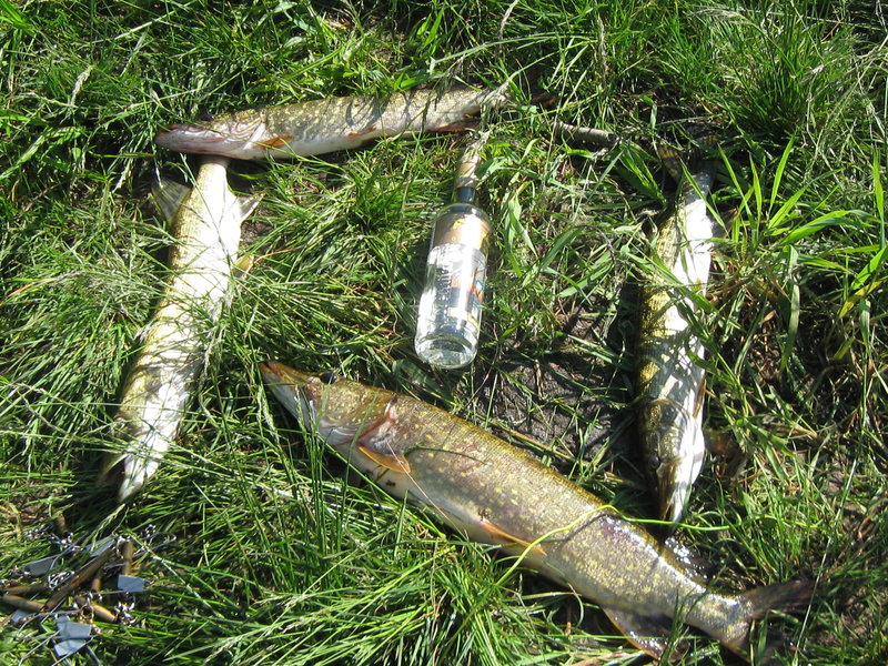 Ягала  12.06.11 009.jpg