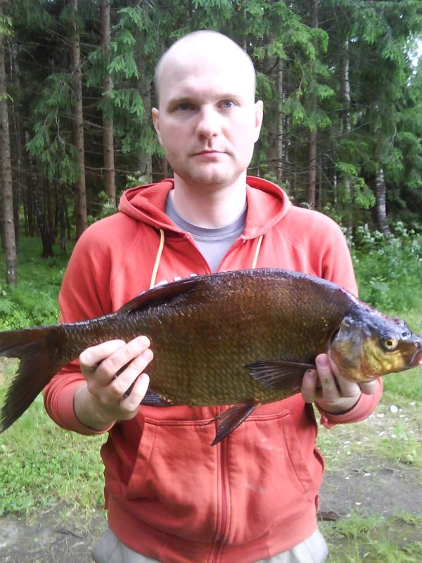 1.9 кг.
