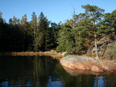 F 034.jpg