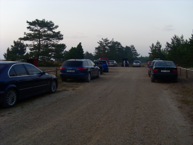 SL383419.JPG