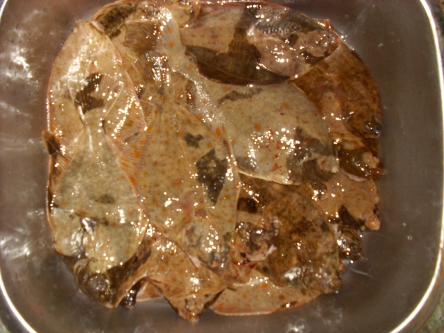 SL383436.JPG