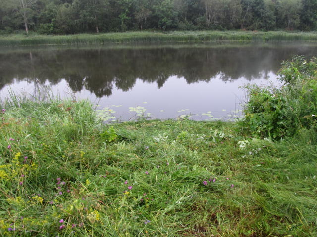Picture 109.jpg