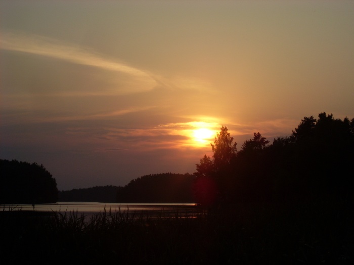 SL383499.JPG