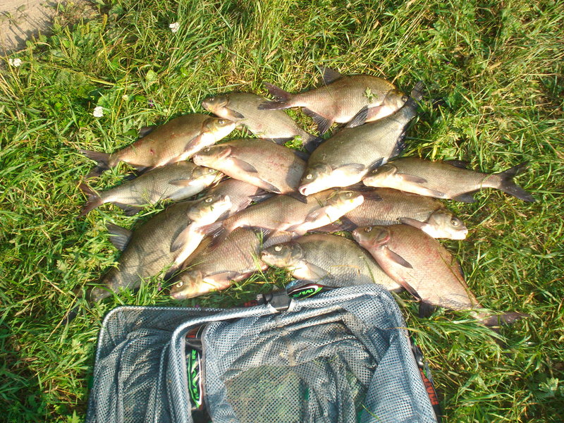 Picture 112.jpg