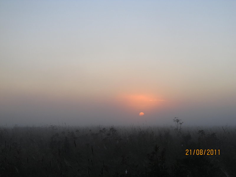 Picture 001.jpg