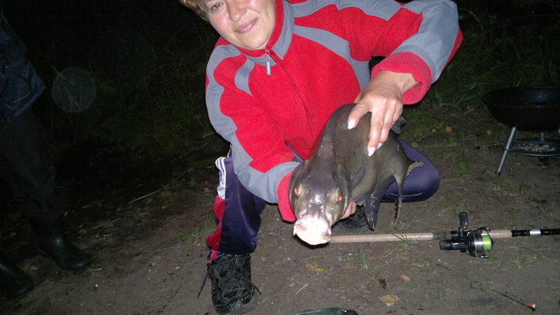 27082011969.jpg