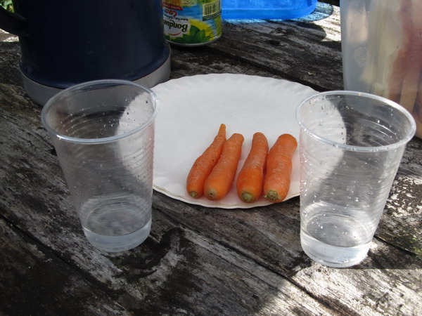 Picture 018.jpg
