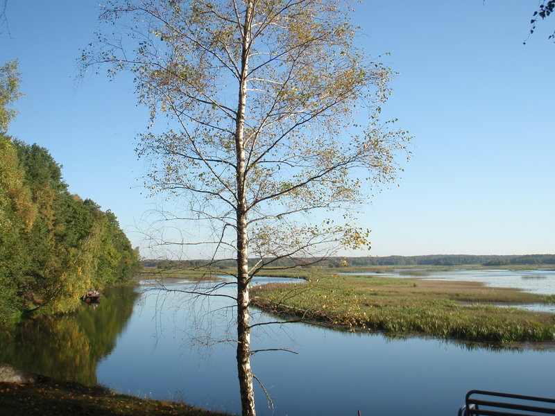 P1025720.JPG