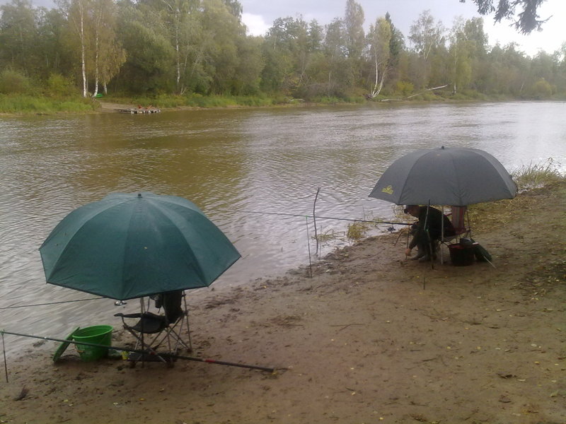 24092011220.jpg