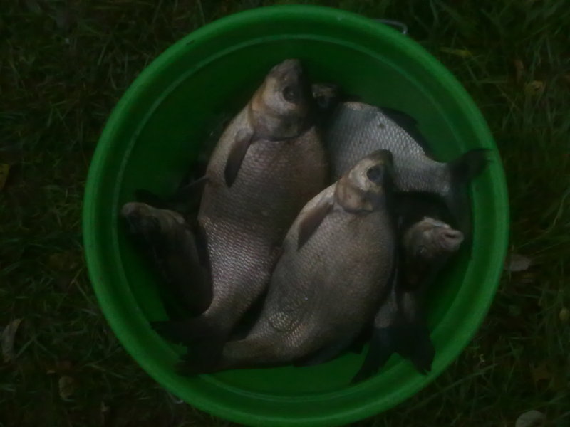 25092011234.jpg