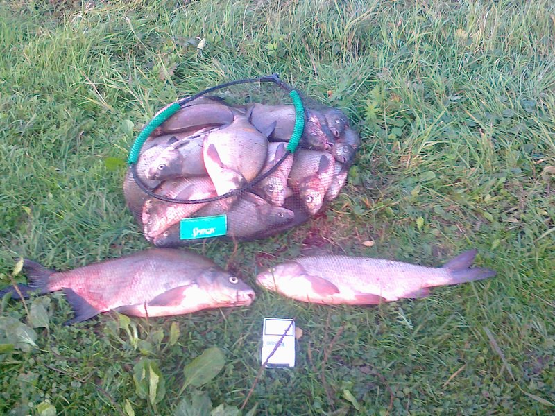 27092011020.jpg