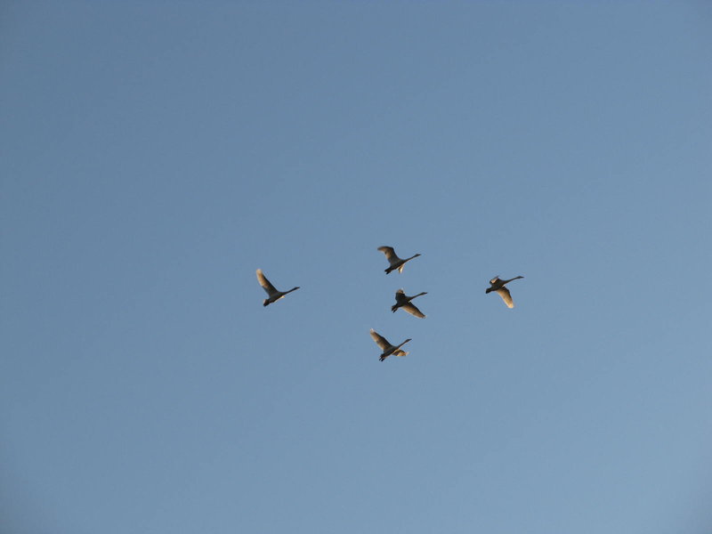 Picture 034.jpg